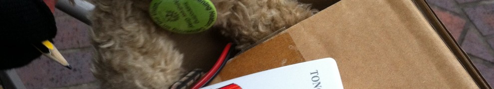 The air pollution monitory (and teddy bear) on Gosforth High Street