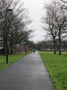Shared Park Route across the Little Moor
