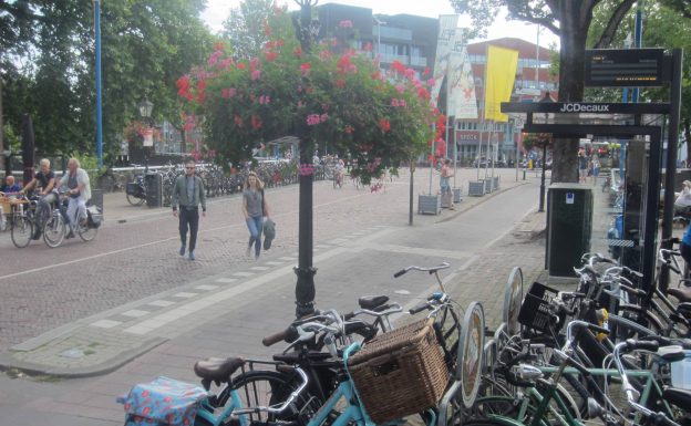 Pictures of bikes, flowers and a bus stop from Utrecht